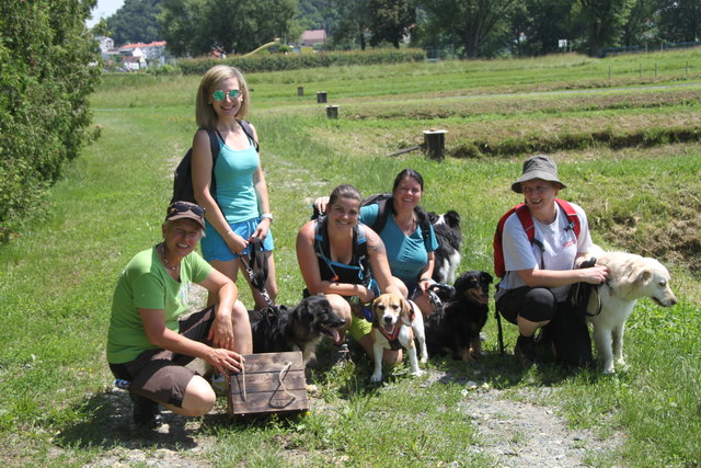 Hurra, die Ermittlerteams freuen sich über den gefundenen Schatz