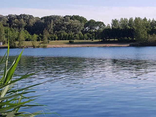Der Ausee in Luftenberg bzw. Asten. | Foto: Margit Kreuzer