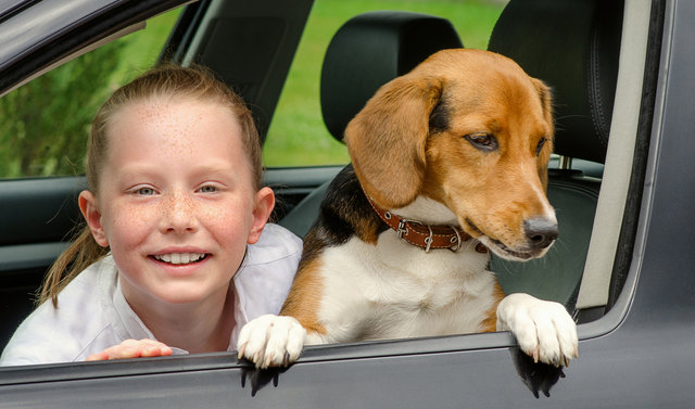 An heißen Sommertagen sollte man Kind und Hund nicht im Auto warten lassen.
