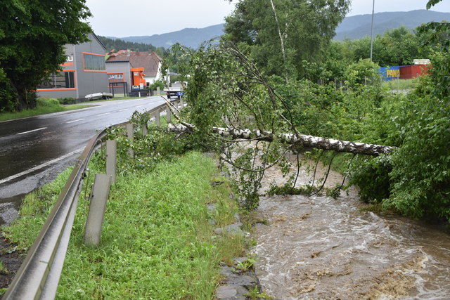 Umgestürzte Bäume im Raum Neumarkt. Foto: FF/Horn