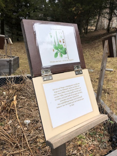 Beschreibung im Kräutergarten der Burg Finstergrün.