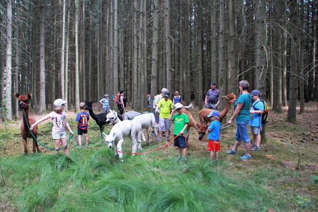 Foto: Alpenverein Enns