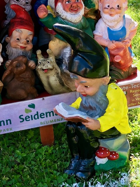 Das ist kein Angriff auf den Berichterstatter – vielmehr handelt es sich um einen mehr oder minder aufmerksamen Torrichter ...