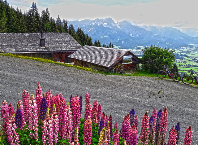 Für E-Biker und "ohne-Strom-Genuss-Radler" gleichermaßen ist dieses Ziel empfehlenswert. Blick in das Steinerne Meer und Saalfeldner Becken: Örgenbauern Alm
