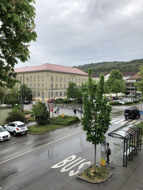 Im Landesgericht Krems wird das Urteil gefällt