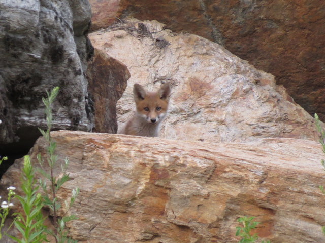 ist der nicht herzig ...