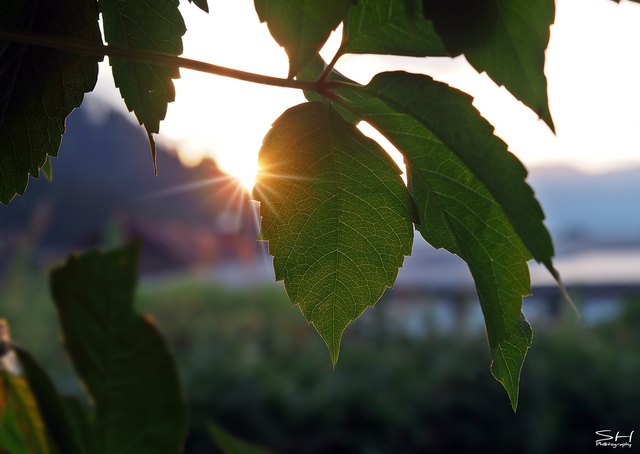 Das Wetter war wieder durchwachsen am Wochenende. Bewölkung und Wind wechselten sich am Samstag ab...der Sonntag hat sich aber dann doch noch schön präsentiert. :-)