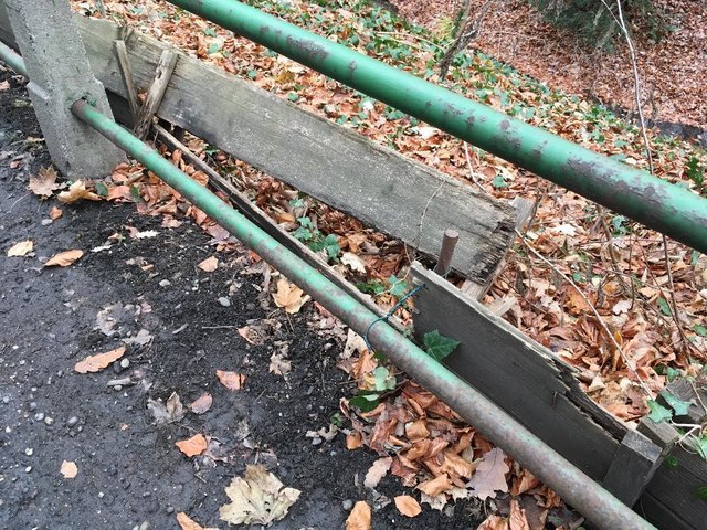 Die Kröten im Dehnepark waren in Gefahr. Denn der hölzerne Zaun, der den Kröten im Frühjahr das Leben retten sollte, war völlig zerstört. Nun wird er komplett erneuert.