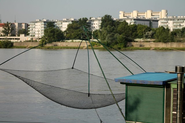 ein Morgengruß von der Donau