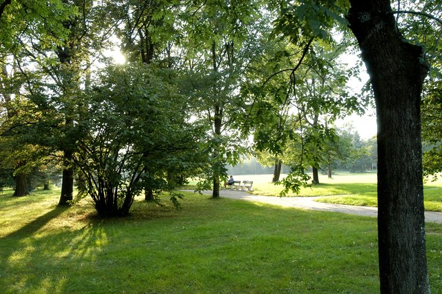Besonders die hohen Temperaturen im April haben die Ausbreitung des Borkenkäfers beschleunigt.