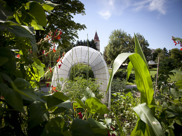 Der Stadtteilgarten Itzling feiert sein Jubiläum mit einem bunten Fest im „Itzlinger Park“.