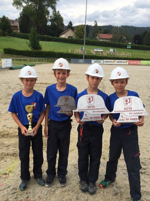 Jeweils den 1. Platz in Bronze und Silber für Felix Nebel, Alexander Edegger, Christof Hartinger und Jonas Weißensteiner
