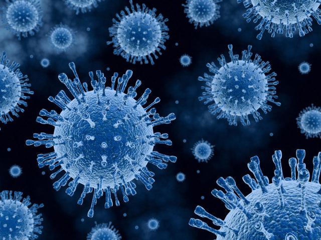 Rund 20 weitere Krankheitsfälle bzw. Anzeichen auf den Norovirus traten in der NMS und der Volksschule in Matrei auf.