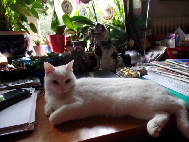 "Man ist meistens nur durch Nachdenken unglücklich."  (Joseph Joubert)