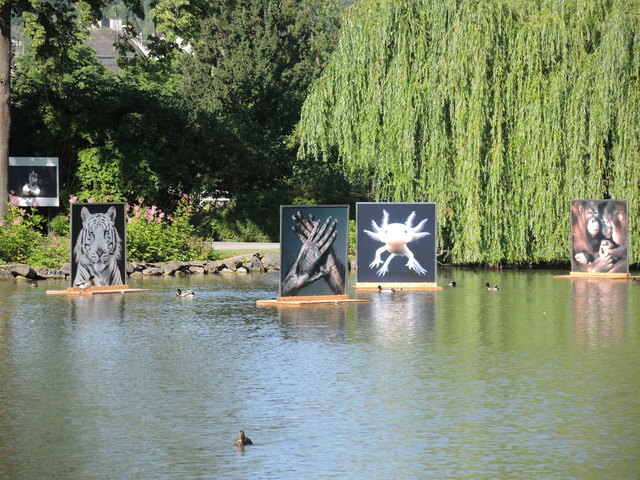 Die Fotos werden auch am Wasser perfekt in Szene gesetzt und befinden sich ständig in Bewegung.