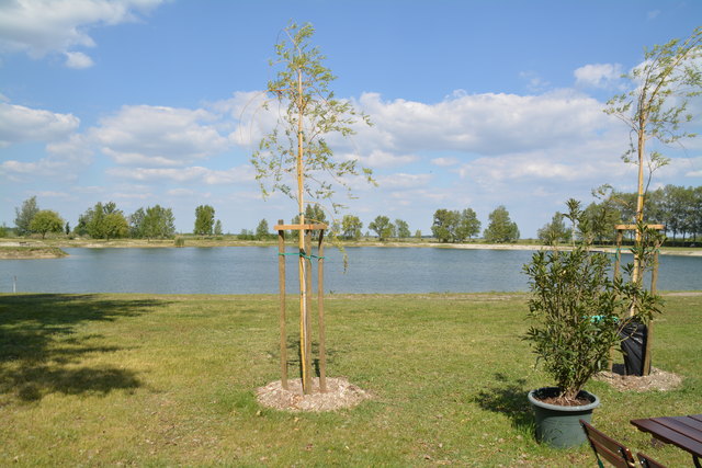 Auch der Apetloner Badesee verfügt über beste Wasserqualität.