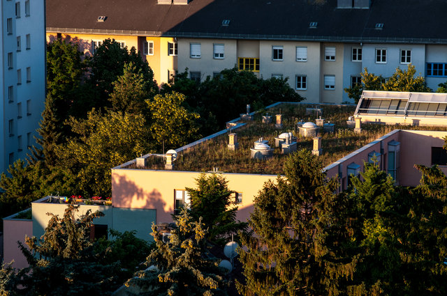 .. das begrünte Dach vom Seniorenwohnheim in der Altkettnenhofer Straße.....