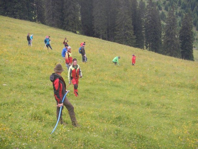 Viele fleißige Helfer halten unsere Almen in Schuss.