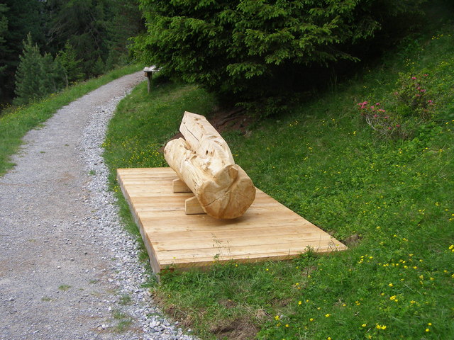 heimisches Holz, die Zirbe