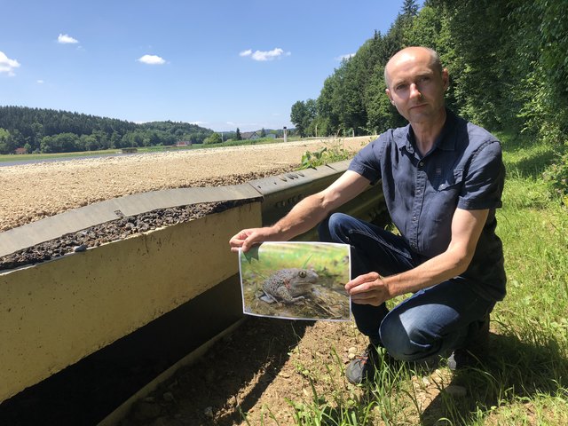 Johann Pfeiler mit einem Abbild der Knoblauchkröte bei einem der Durchlässe.
