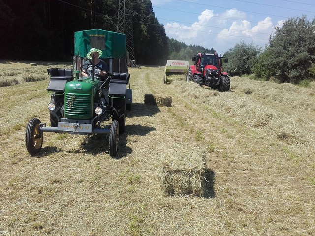 Ein Steyr 80 (15er) (BJ 1961) trifft bei der Heuernte auf einen neuen Lindner Lintrac (BJ 2018) mit Ballenpresse in Ludersdorf zusammen.