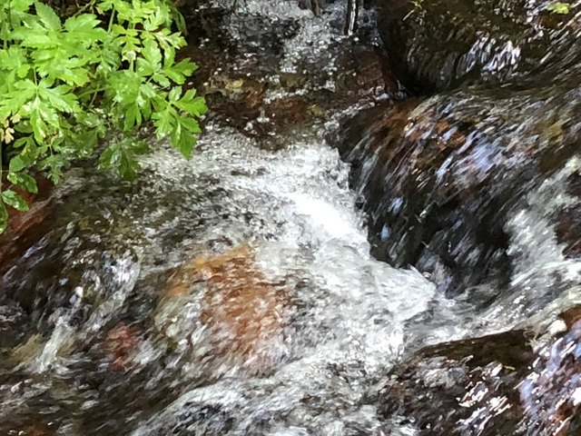 Die Tiebelquellen in Himmelberg sind ein kleines Naturwunder. Aus 60 bis 100 Quellen fließen hunderte Liter Trinkwasser