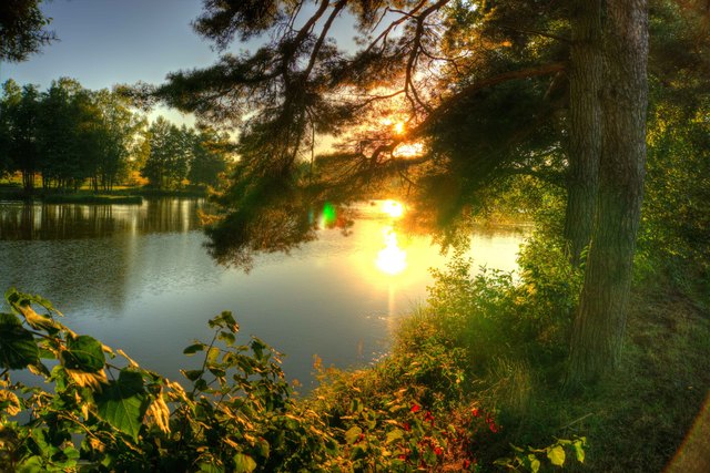 Wasser: ein wertvolles Gut