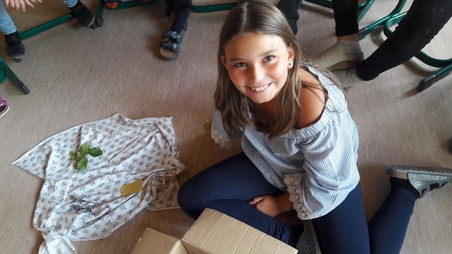 "Von der Biene zum Honig" ist ein Projekt an der Volksschule. | Foto: Volksschule Hannersdorf