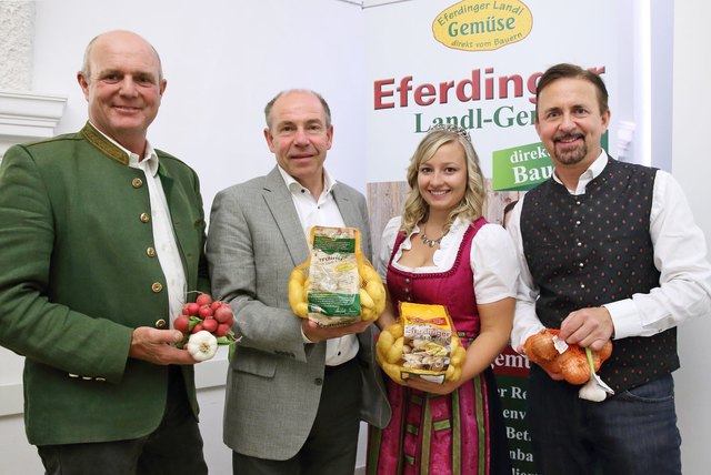 Ewald Mayr (GF Erzeugergemeinschaft Eferdinger-Landl), Agrar-Landesrat Max Hiegelsberger, Oö. Erdäpfelprinzessin Katharina I. und Manfred Schauer (Obmann Erzeugergemeinschaft Eferdinger-Landl) | Foto: Land OÖ/Schauer