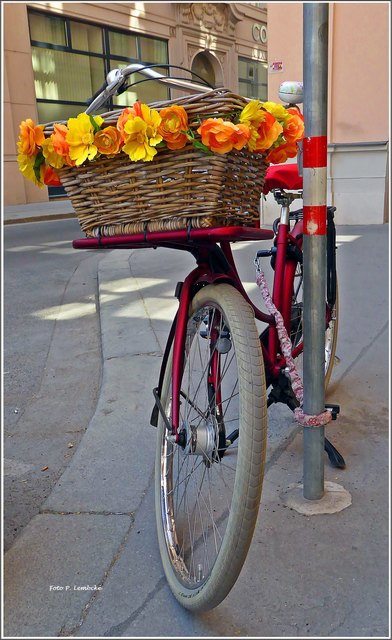 Die Blumen brauchen kein Wasser und verwelken nicht.