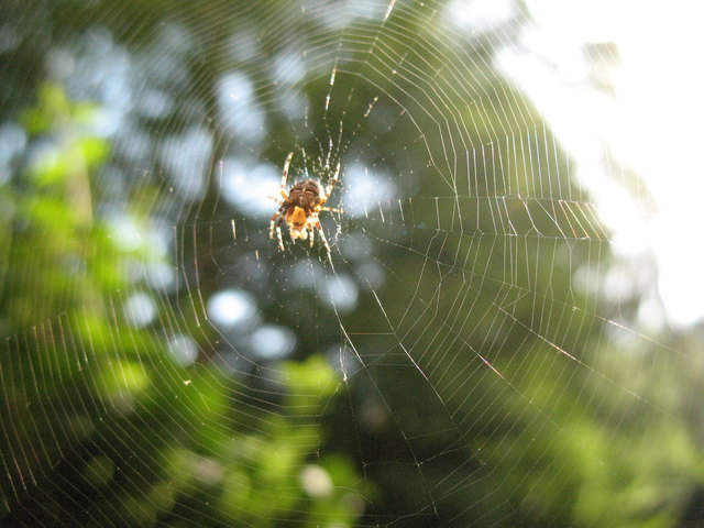 Empfehlung Vollbildansicht