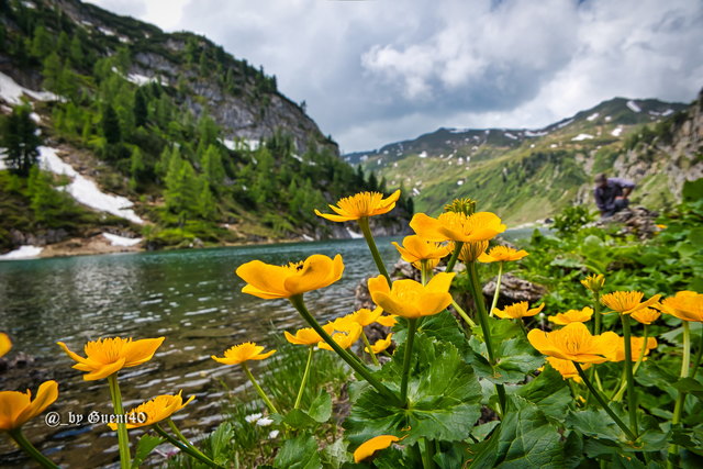 ---------Schönheit,Wasser und Leben.....