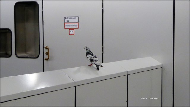Dienststelle U 1 und U 3 Stephansplatz