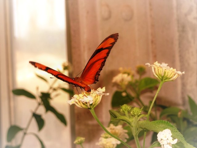 Vorm Abflug :-)