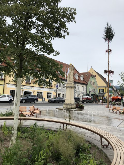 Der Grünbewuchs in den Baumscheiben am Stainzer Hauptplatz muss noch üppiger anwachsen, das braucht eben Zeit.
