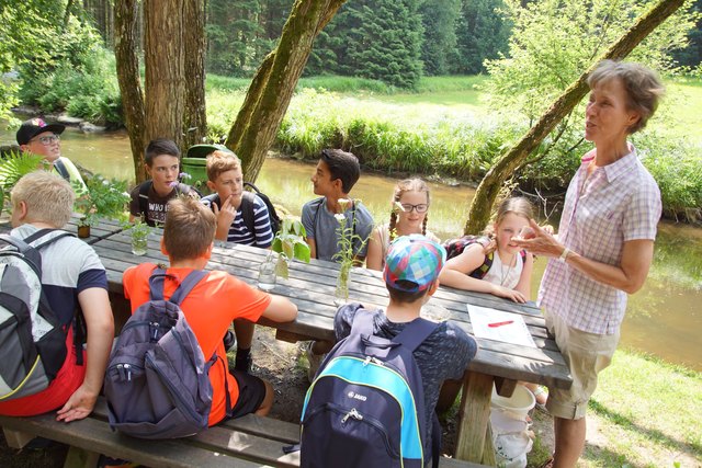 Waldpflanzen erkennen und zuordnen müssen die Schüler bei der Station von Sieglinde Fidler.