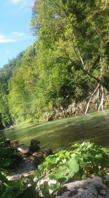 Daniela Prüller hält sich an heißen Tagen mit ihren am liebsten mit ihren Hunden an der Erlauf in der Urmannsau auf. | Foto: Daniela Prüller