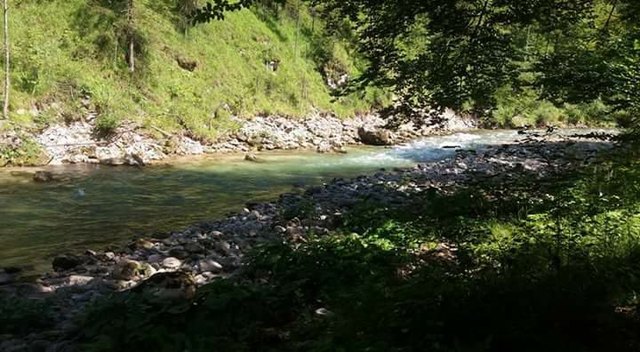 Daniela Prüller hält sich an heißen Tagen mit ihren am liebsten mit ihren Hunden an der Erlauf in der Urmannsau auf. | Foto: Daniela Prüller