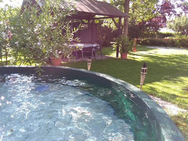 Seit ihre Kinder aus dem Haus sind, kann Evelyn Peheim aus Purgstall an der Erlauf ihren Pool ganz für sich alleine nutzen. | Foto: Evelyn Peheim