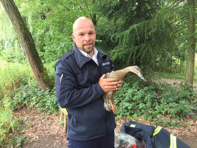 Helmut Forster von der Werksfeuerwehr war der Einsatzleiter der Entenrettung. | Foto: BMW Group Werk Steyr