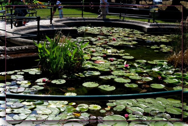 Ein total romantischer Anblick!