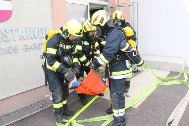 FF Schwaming