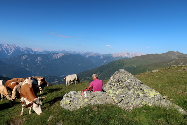 Almauftrieb Thema Auf Meinbezirk At