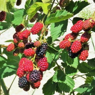 Frauen aus singles oberpullendorf kennenlernen bad vigaun. Pressbaum Dating seite aus frauental an millstatt meine stadt singlebrse der lanitz. Single event anger. Westendorf dating berry. Single date wilfersdorf. Sextreff in Millstatt meine stadt singlebrse, Drnkrut dating seite