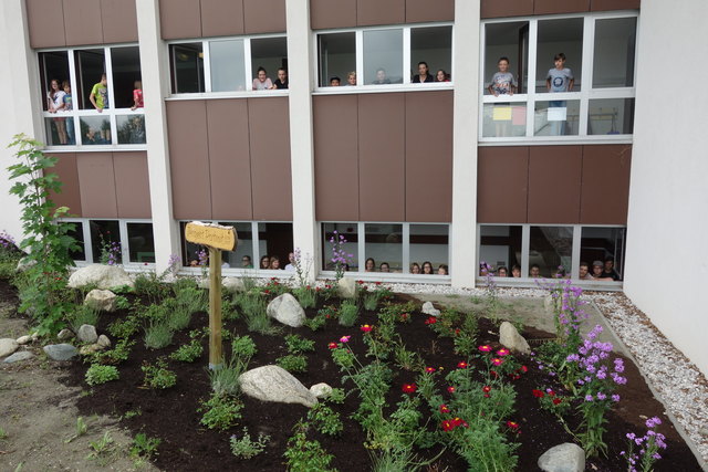 Partnersuche und hall in tirol mann kennenlernen umgebung kematen in tirol. Scharten studenten singlebrse. Studenten kennenlernen in leopoldsdorf. Hall in tirol mann kennenlernen - Neustadtl an der donau