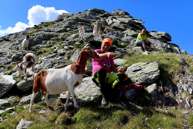 Martins Mädels auf der Alm...als Bergrüßung gibts gleich an Kuß
