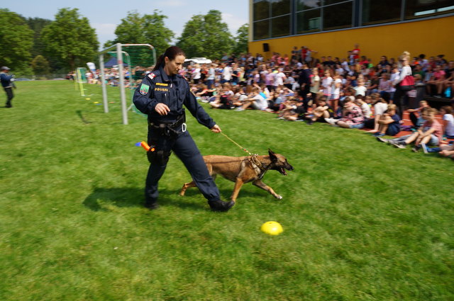 Die Polizeidiensthundeführer Nord beeindruckten mit ihren Hunden die Schüler.