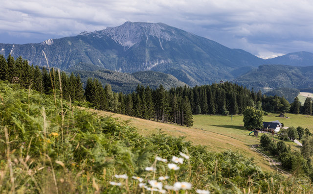 Wildnis pur in der Region: Zu Füßen des imposanten Ötschers erstreckt sich der größte Naturpark Niederösterreichs.
