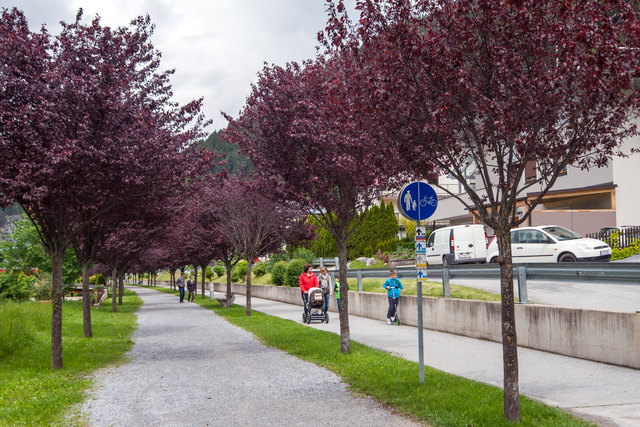Ein fertiger Teil des Radweges Via Claudia Augusta Etappe 2 (Nr. 31) in Zams. Dieser getrennte Fußgänger- und Radweg ist auf der alten Bahntrasse entstanden. Dieser Radweg führt auf der Südseite des Talkessels, bis zum Bahnhof und weiter in das Landecker Zentrum, während der Innradweg in Zams auf die Nordseite (Bachgasse) des Talkessels abzweigt und über Lötz bzw. Perjen in das Stadtzentrum führt. 
Klicken Sie in das Bild für den Vollbildmodus welchen ich empfehle! © Ing. Günter Kramarcsik