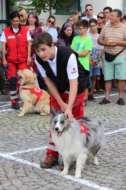 Vorführung der Rotkreuz-Suchhundestaffel. | Foto: Vorführung der Rotkreuz-Suchhundestaffel.